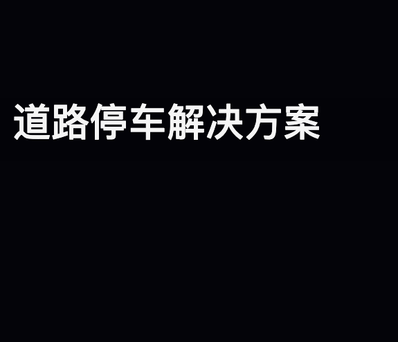 道路停车解决方案